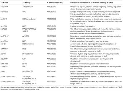 Crassulacean Acid Metabolism Abiotic Stress-Responsive Transcription Factors: a Potential Genetic Engineering Approach for Improving Crop Tolerance to Abiotic Stress